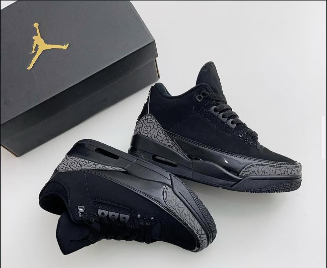 Air Jordan 3 retro